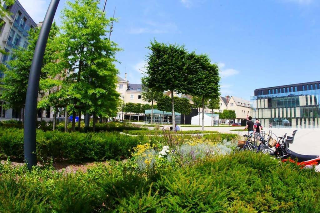 Chartres Coeur De Ville, Beau 2 Pieces Chaleureux Et Lumineux,Parking Et Wifi ! Eksteriør bilde